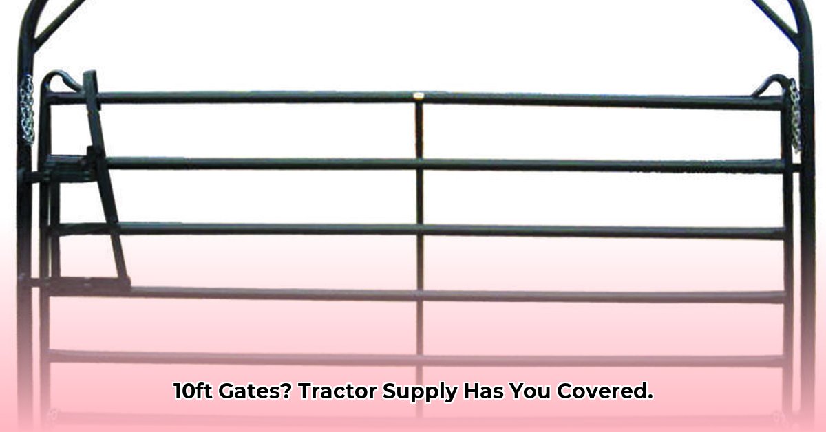 10-foot-gates-at-tractor-supply